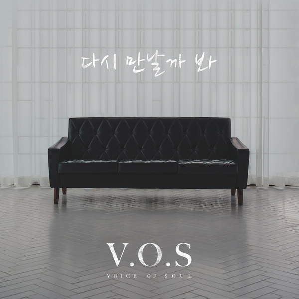 Lyrics: V.O.S - I'll meet again