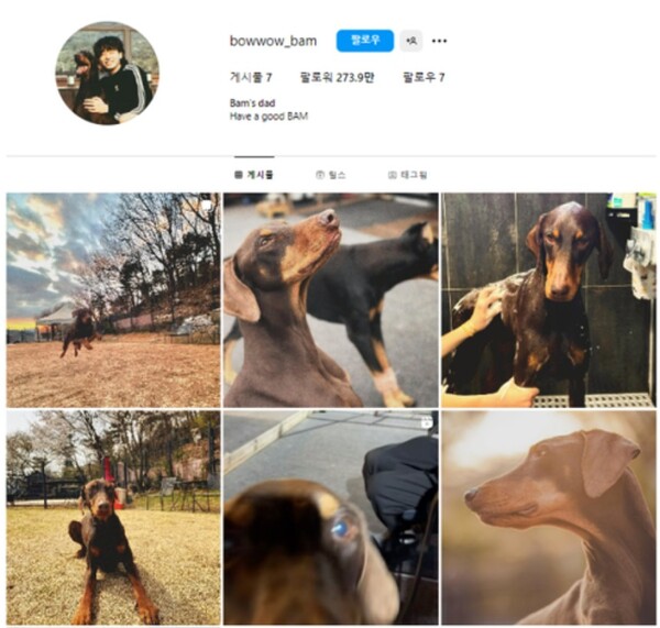 BTS Jungkook surpasses 3 million followers in just 1 hour after opening his personal dog channel