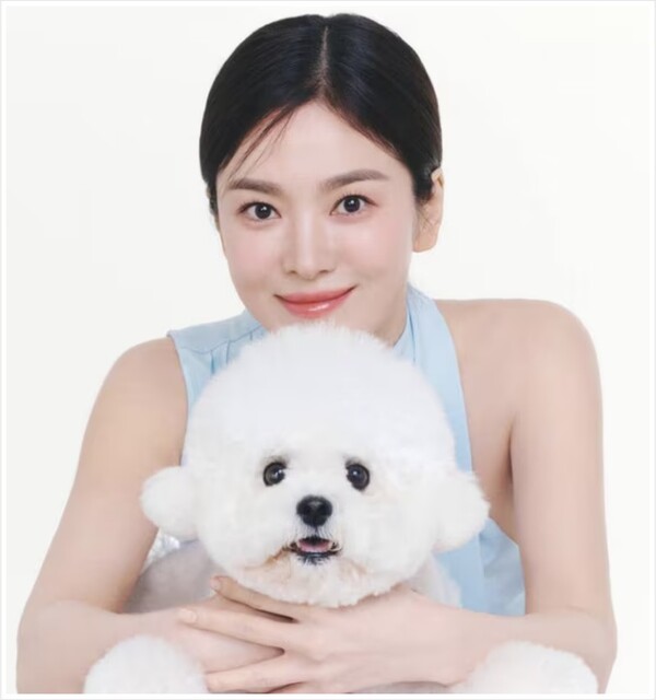 Song Hye-kyo has fun chemistry with her dog Ruby on set!