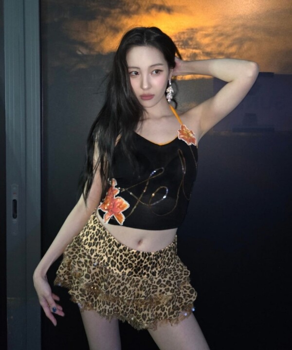 Sunmi steals attention with sexy leopard print fashion...