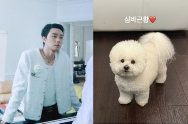 Park Seo -jun, Pet dog Simba's recent disclosure…