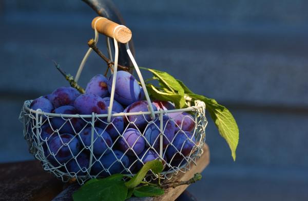 Plum diet and cooking should be washed in running water