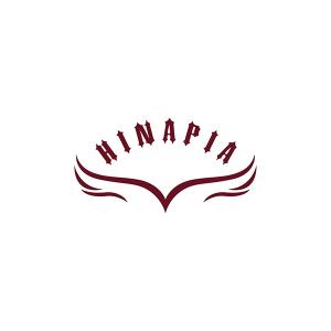 Kyungwon team name HINAPIA started to debut