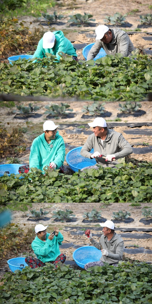 Ordering of farming dream trees…