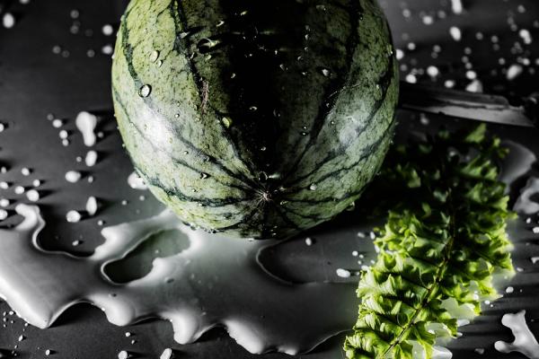 Watermelon is cultivated hanging in the air, so the impact on precipitation