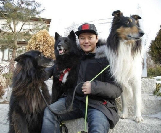 What kind of dog is Kim Min-kyo's companion dog and Belgian Sheepdog?