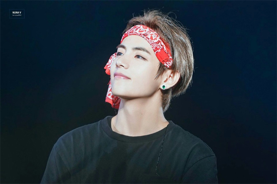 BTS' V, Fan Club Birthday Fundraising Amount KPOP All-Time Highest Amount exceeded 1.1 billion!