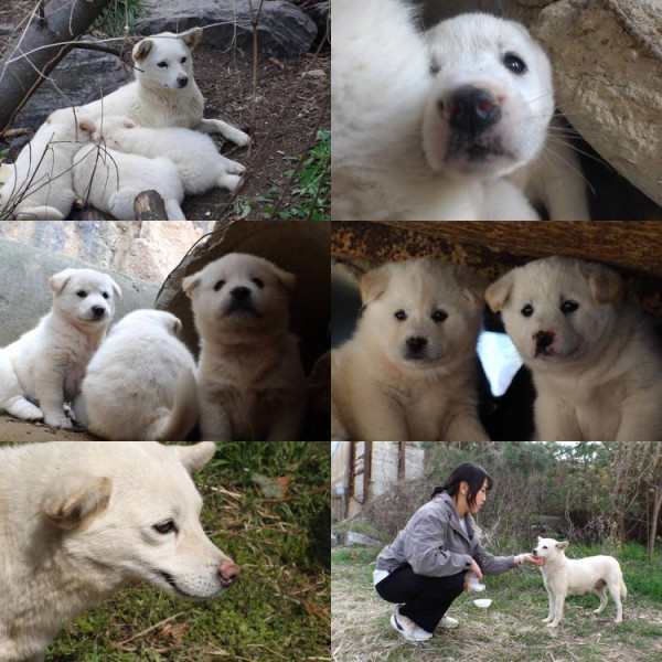 [SBS TV Animal Farm] Baekgu is in secret parenting!