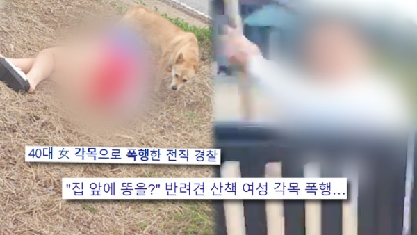 [SBS Curious Story Y] Why did the former police officer swing a wooden block at his neighbor?