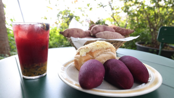 <A Round Around the Neighborhood> Ripening Together – Ganghwa-gun, Incheon Metropolitan City