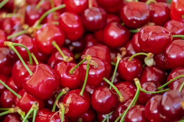 'Cherry Season, Calorie, Diet'